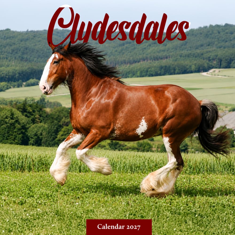 Clydesdale Horses Calendar 2027: Draft Horse Photography