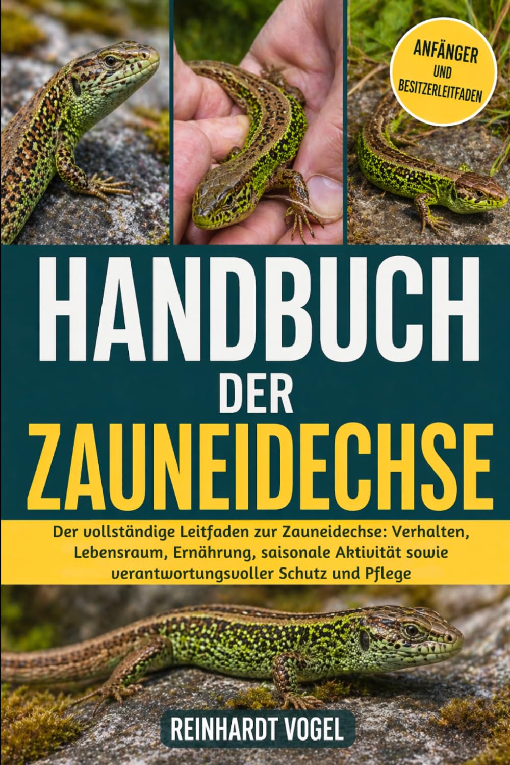 capítulo por capítulo baixar HANDBUCH DER ZAUNEIDECHSE: Der vollständige Leitfaden zur Zauneidechse: Verhalten, Lebensraum, Ernährung, saisonale Aktivität sowie verantwortungsvoller Schutz und Pflege (German Edition)