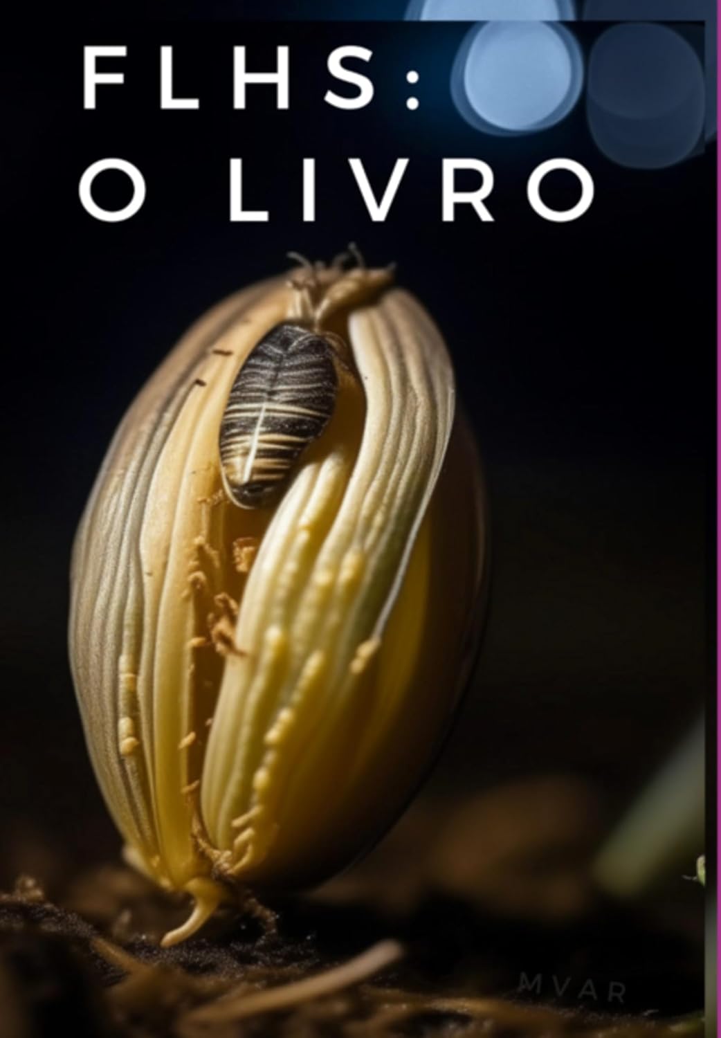 ler totalmente Flhs: O Livro