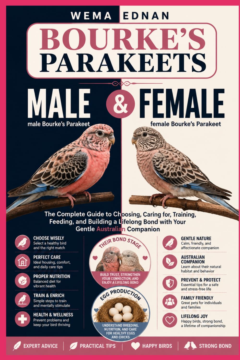 capítulo por capítulo baixar Bourke's Parakeets: The Complete Guide to Choosing, Caring for, Training, Feeding, and Building a Lifelong Bond with Your Gentle Australian Companion