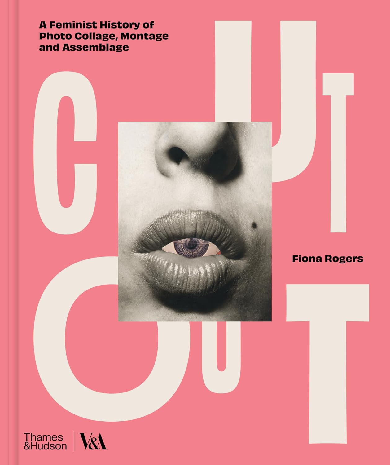 ler totalmente Cut Out: A Feminist History of Photo Collage, Montage and Assemblage