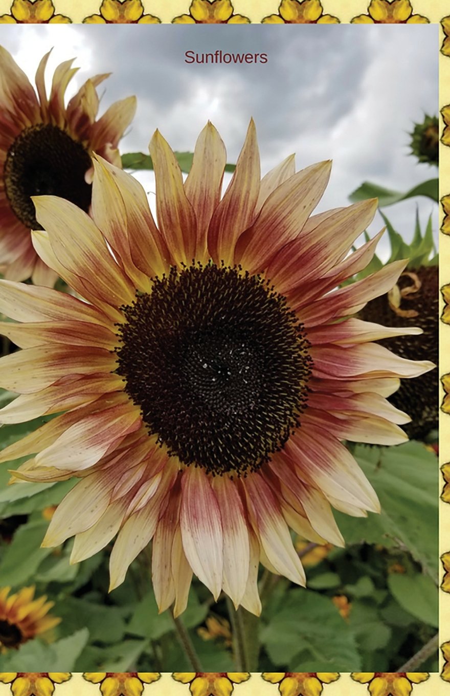 Sunflowers: Journal/Planner baixar o livro de graça