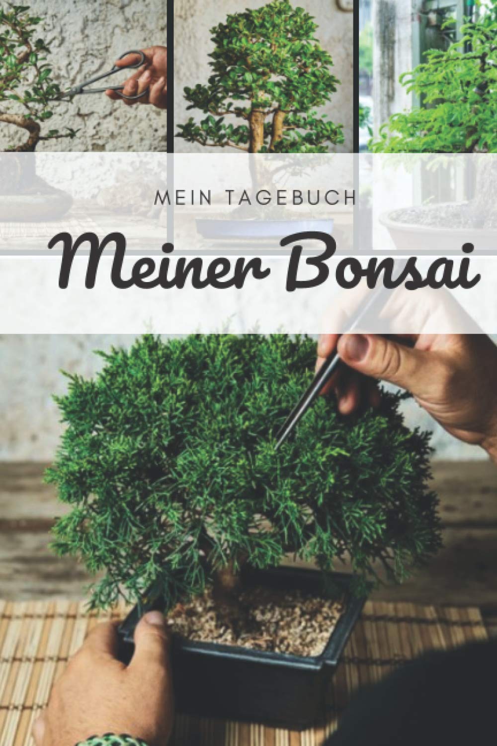 Das Tagebuch meines Bonsais: Diese Zeitschrift ermöglicht es Ihnen, das Wachstum Ihres Bonsai im Laufe der Zeit zu verfolgen. Dies ist ein ideales Logbuch, das Folgendes bietet baixar livro de graça
