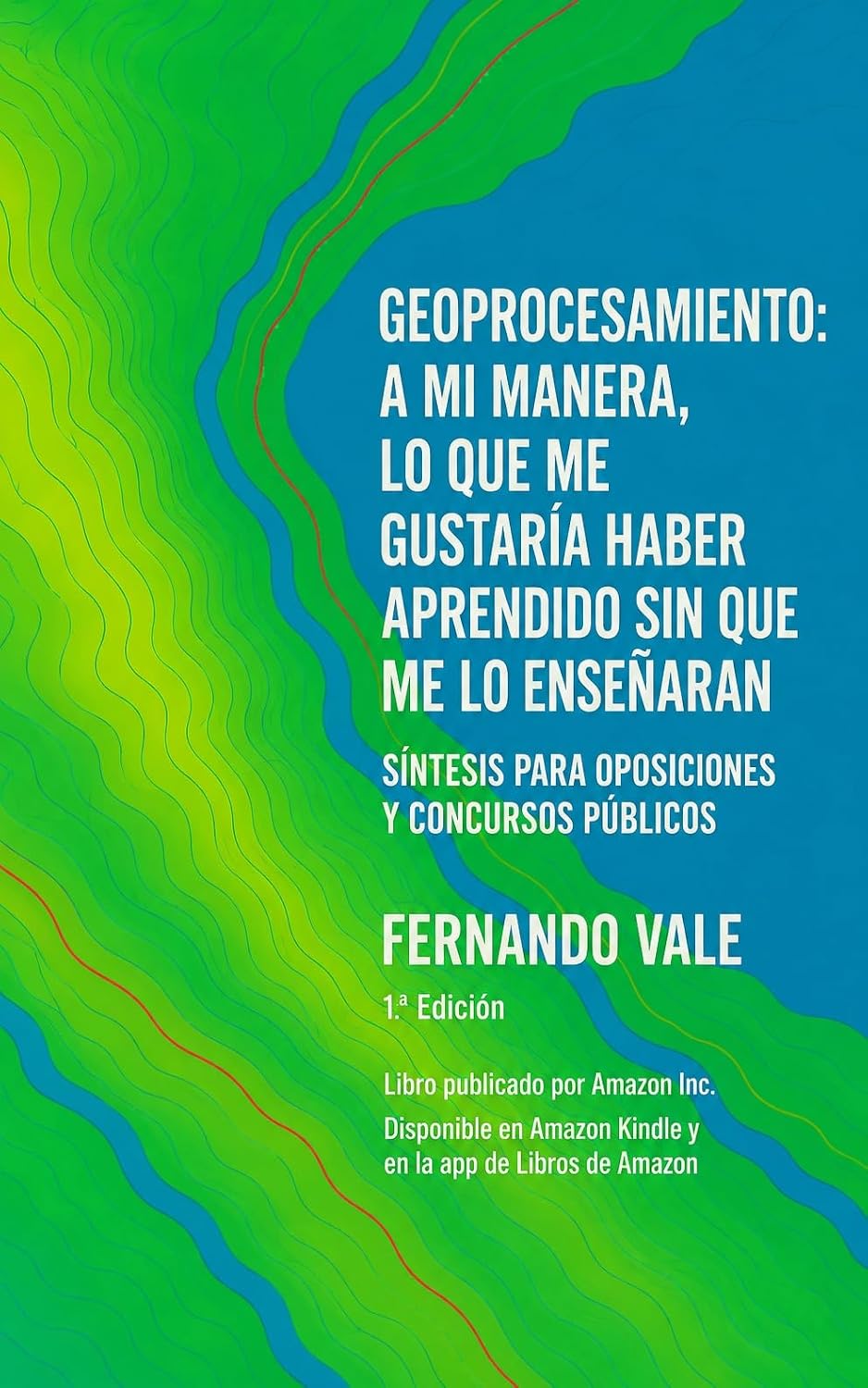 GEOPROCESAMIENTO: COMO ME HUBIERAN GUSTADO QUE ME ENSEÑARAN: Guía Completa para Concursos Públicos
