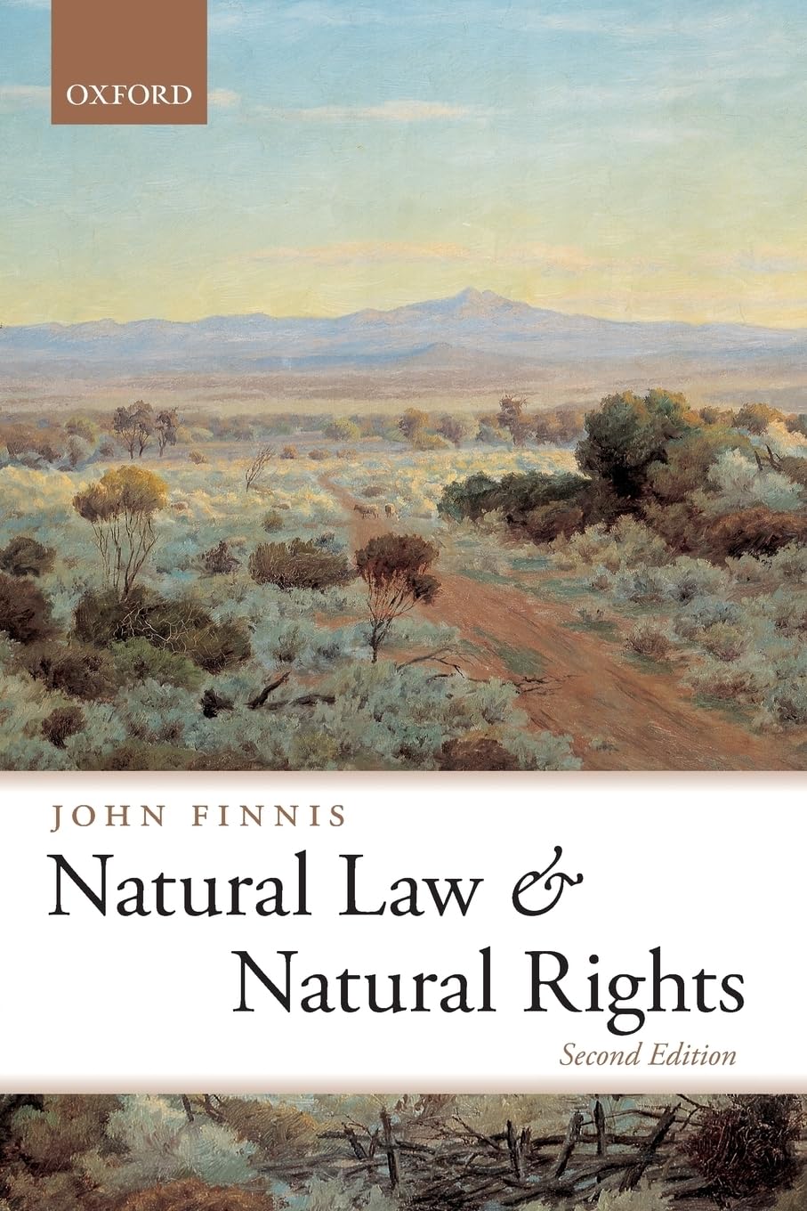 Natural Law and Natural Rights baixar livro de graça