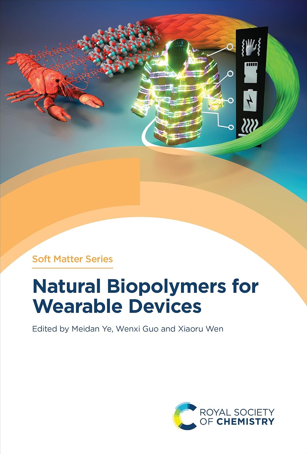 Natural Biopolymers for Wearable Devices (English Edition) baixar o livro de graça