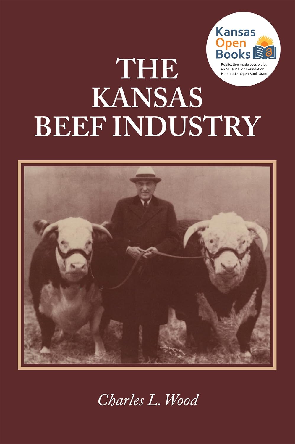 The Kansas Beef Industry (English Edition) baixar livro de graça