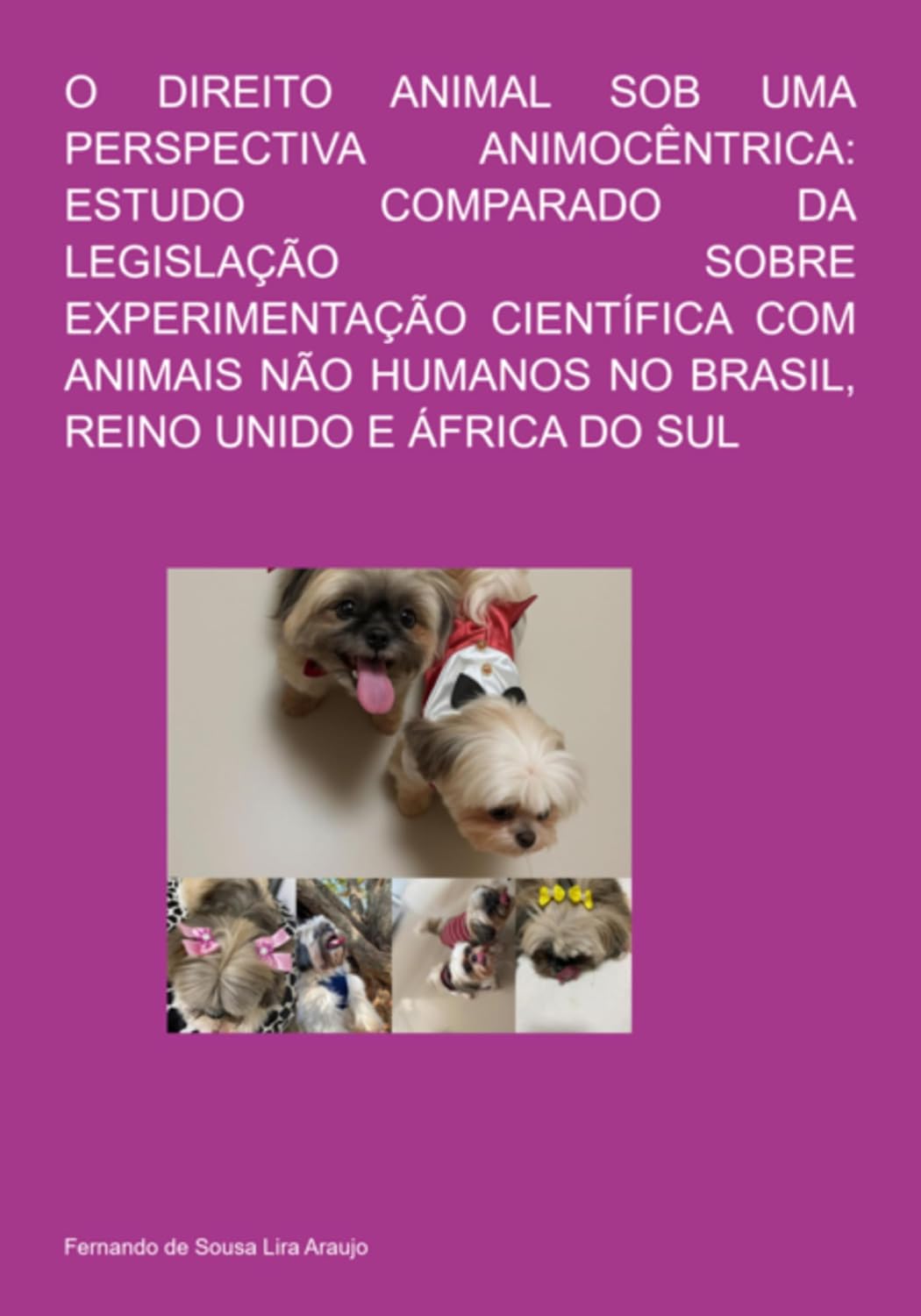 O Direito Animal Sob Uma Perspectiva Animocêntrica: Estudo Comparado Da Legislação Sobre Experimentação Científica Com Animais Não Humanos No Brasil, Reino Unido E África Do Sul baixar o livro de graça