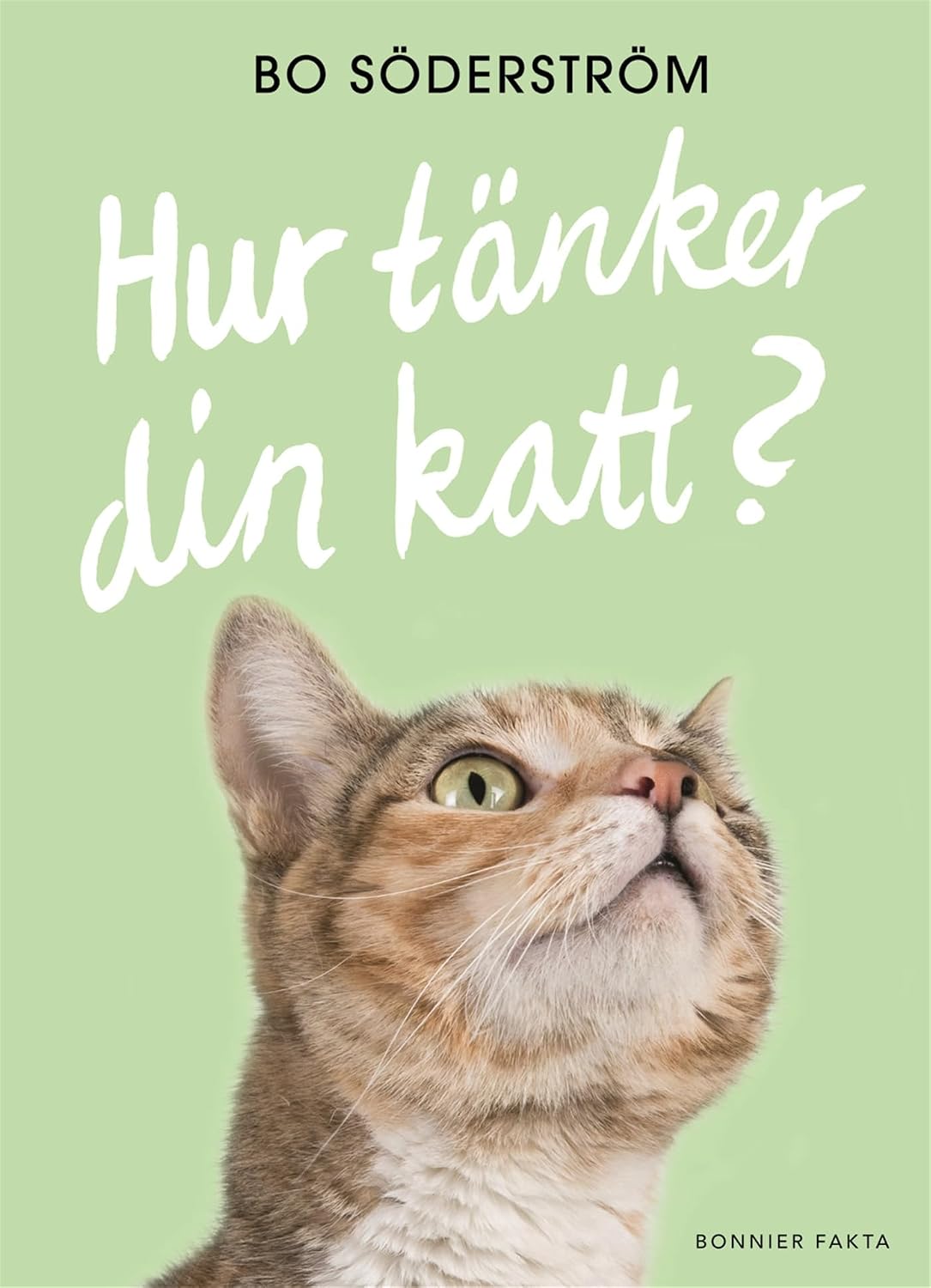 ler totalmente Hur tänker din katt?