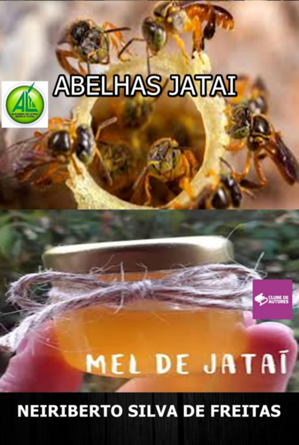 Abelhas Jatai