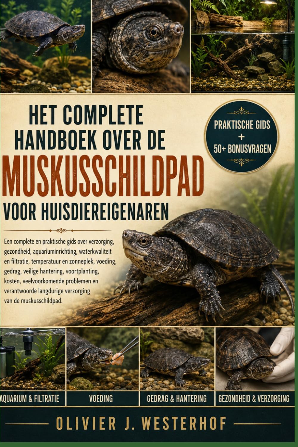capítulo por capítulo baixar DE COMPLETE BIJBEL OVER GEWONE BIJTSCHILDPADDEN VOOR BEGINNERS: Een complete en praktische gids over verzorging, gezondheid....verantwoorde verzorging... van gewone bijtschildpadden. (Dutch Edition)
