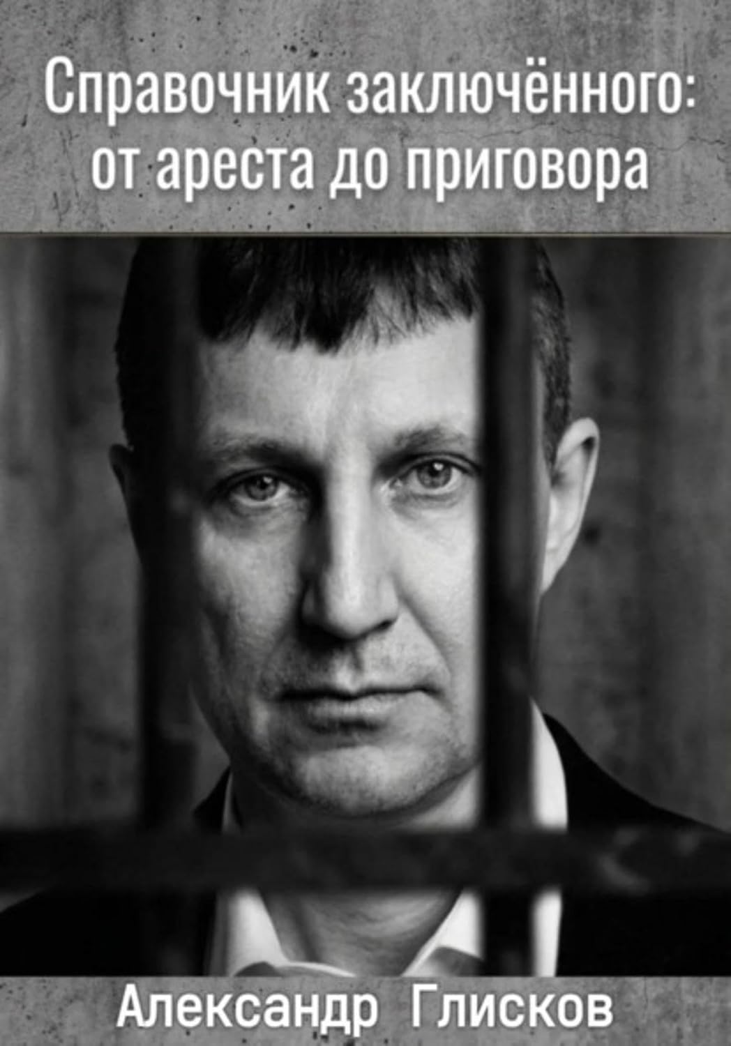Справочник заключенного: от ареста до приговора (Russian Edition) baixar livro de graça