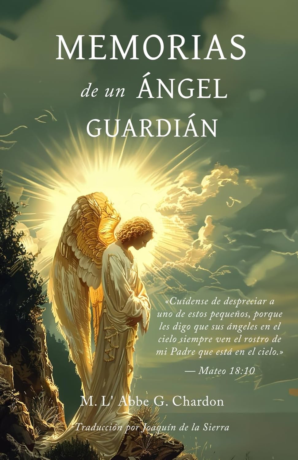 Memorias de un Ángel Guardián (Spanish Edition) baixar livro de graça