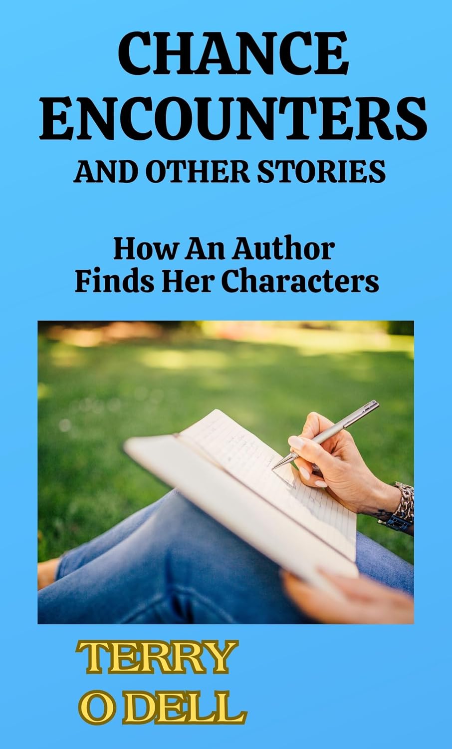 ler totalmente Chance Encounters and Other Stories: How An Author Finds Her Characters (English Edition)
