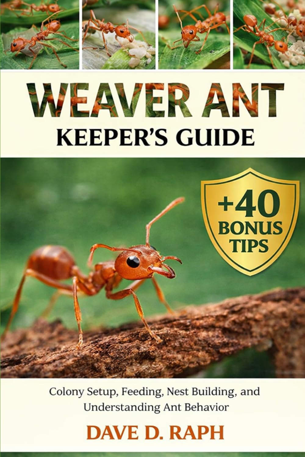 Weaver Ant Keeper’s Guide: Colony Setup, Feeding, Nest Building, and Understanding Ant Behavior