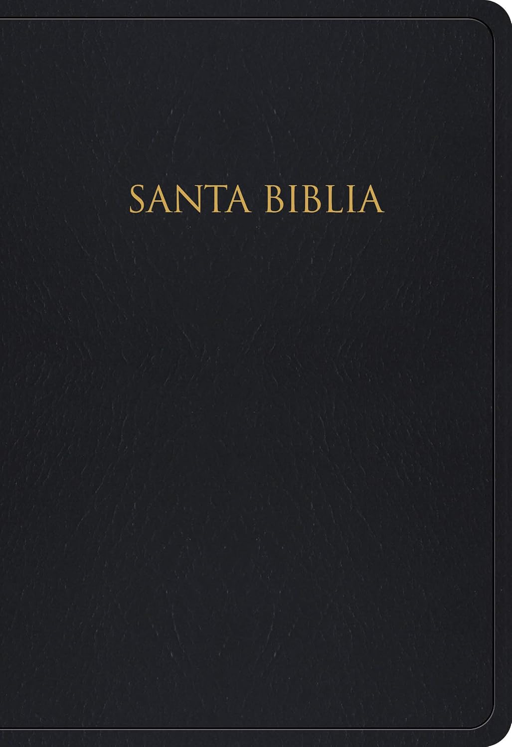 capítulo por capítulo baixar Santa Biblia: Reina-valera 1960 para regalos y pemios negro imitación piel: Reina-valera 1960 para regalos y pemios negro imitación piel