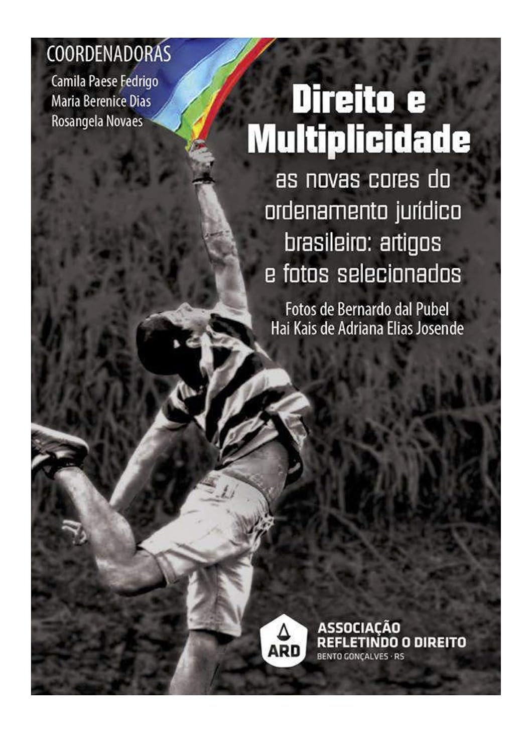 ler totalmente Direito e Multiplicidade: As novas cores do ordenamento jurídico brasileiro