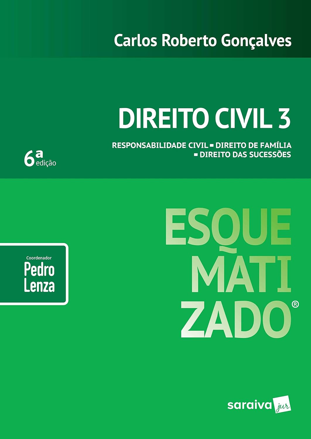 Direito Civil esquematizado®: Responsabilidade civil: Direito de família: Direito das sucessões - 6ª edição de 2019: 3 baixar livro de graça