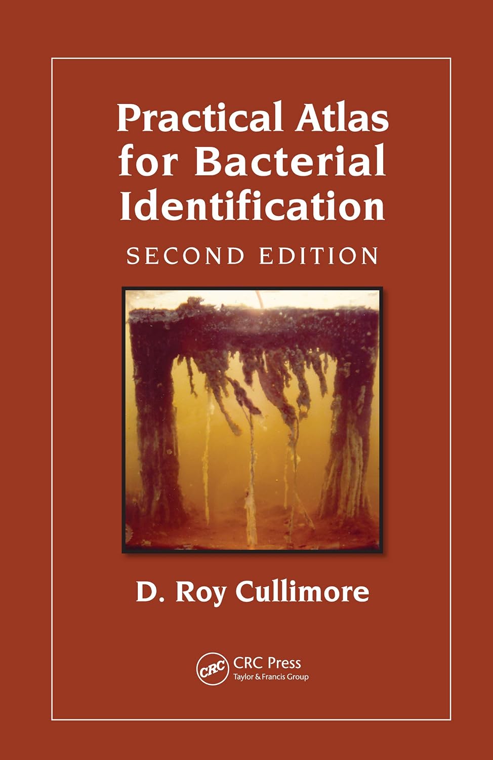 Practical Atlas for Bacterial Identification (English Edition) baixar o livro de graça