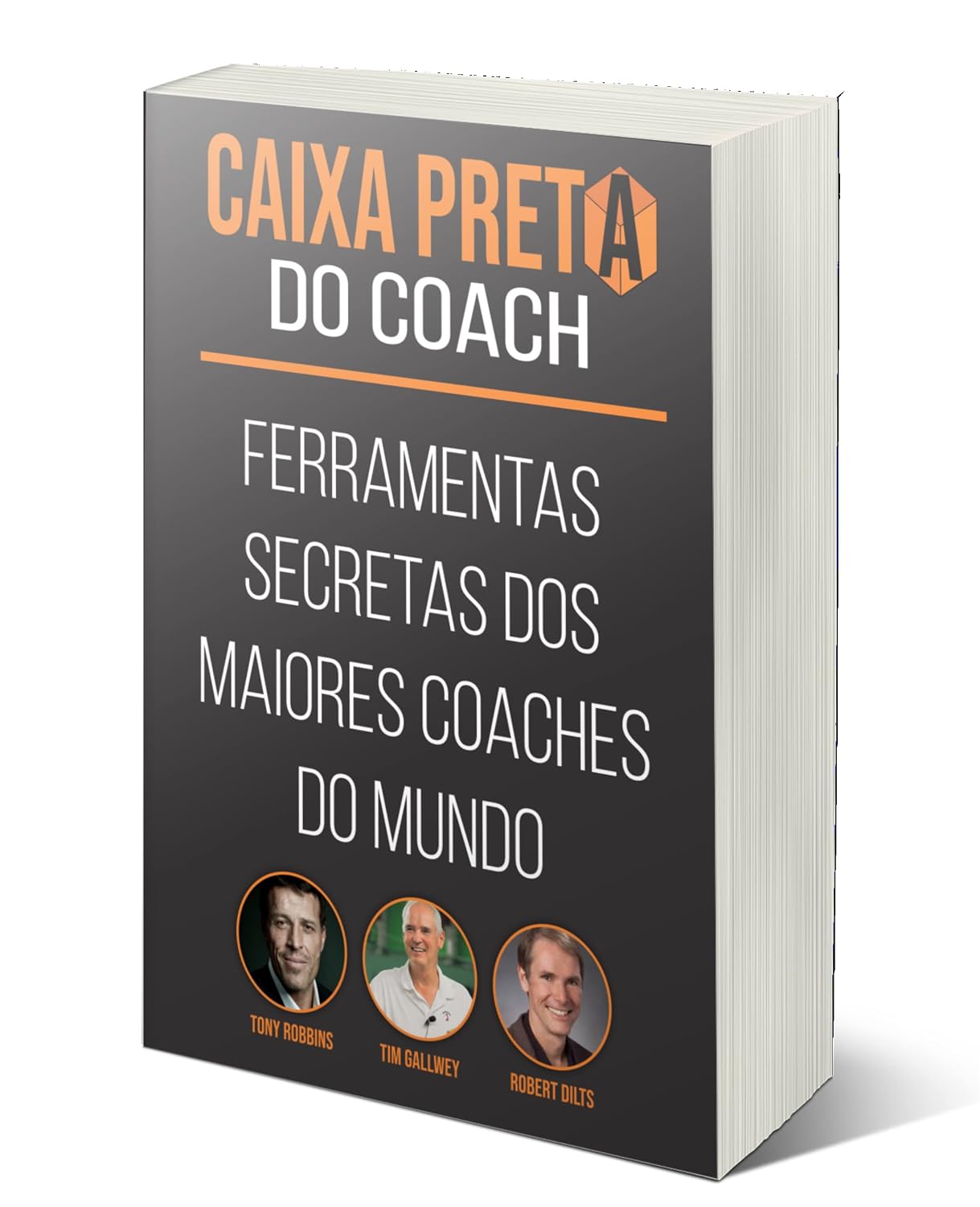 ler totalmente Ferramentas de Coaching - 120 Ferramentas com passo a passo: Ferramentas Com Passo a Passo