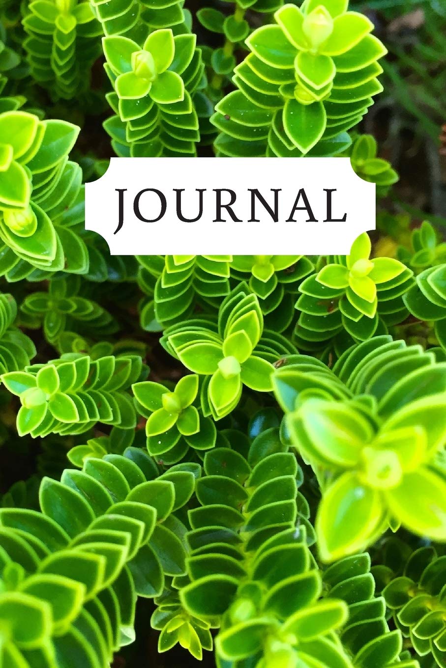 Journal: Gorgeous picture of greenery/leaves. This notebook/Dairy will be a joy to write in or draw in. Lovely gift for women, teachers, gardeners and house plant keepers. baixar livro de graça