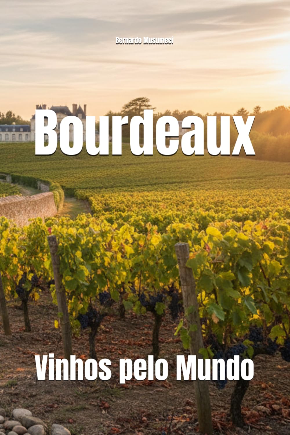Vinhos pelo Mundo: Bourdeaux (Portuguese Edition) baixar livro de graça