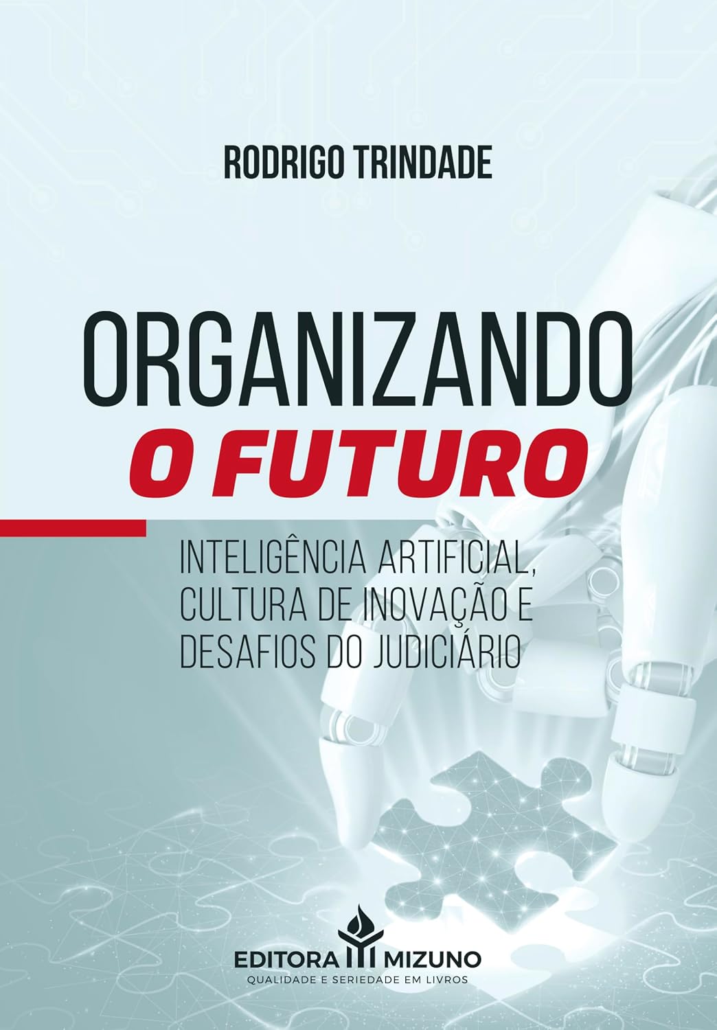 ler totalmente Organizando o Futuro