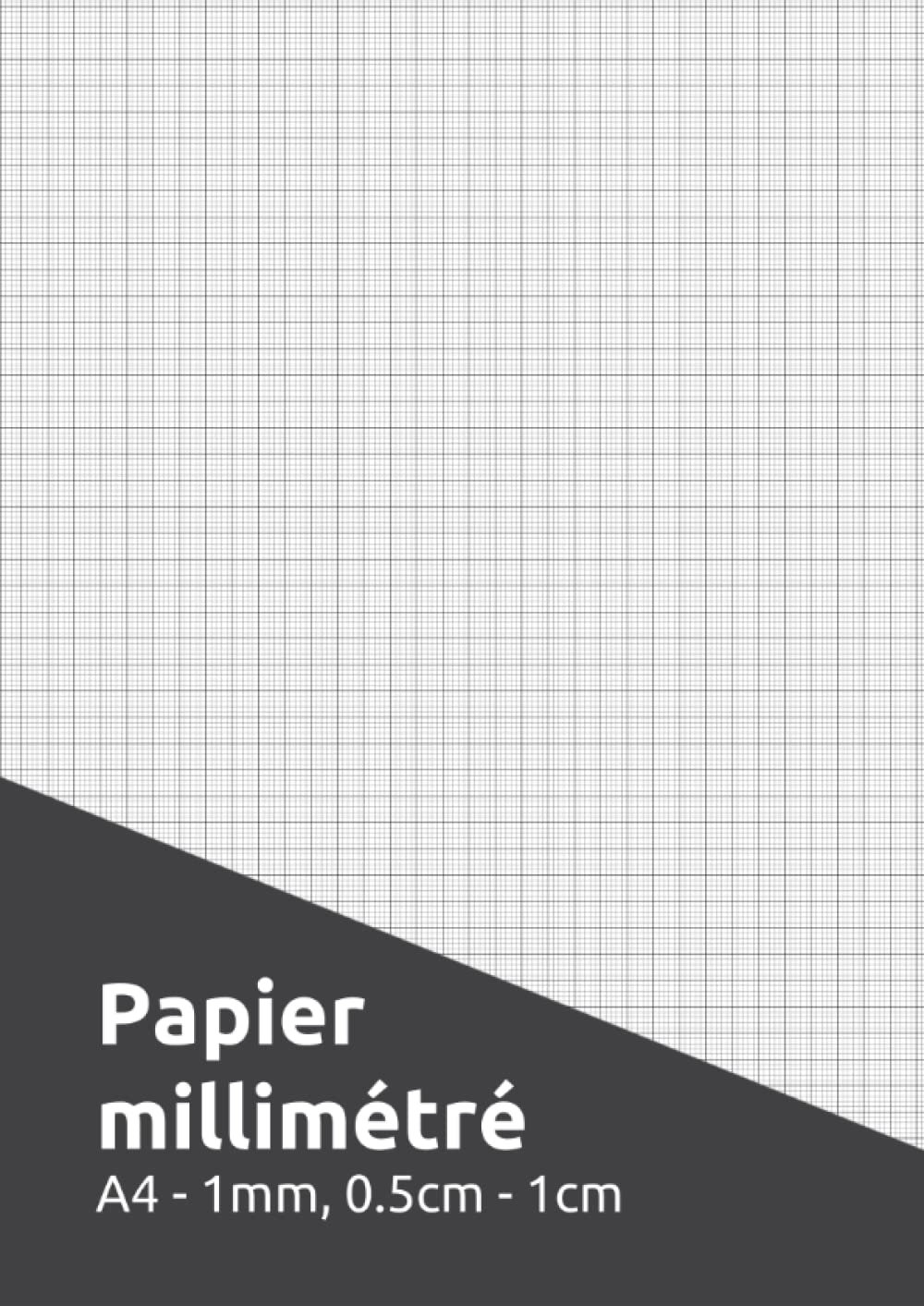 ler totalmente Papier Millimétré 1mm: Feuilles à Dessin 1mm, 5mm, 10mm (1cm), 5 Carreaux par 0.5cm, 10 Carreaux par 1cm, Carnet Dessin Croquis Millimétré... Quadrillées 1mm, 5mm, 10mm (French Edition)