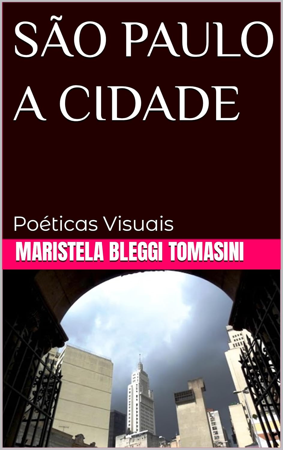 SÃO PAULO A CIDADE: Poéticas Visuais (IMAGENS IMAGINADAS: Poéticas Visuais) baixar o livro de graça