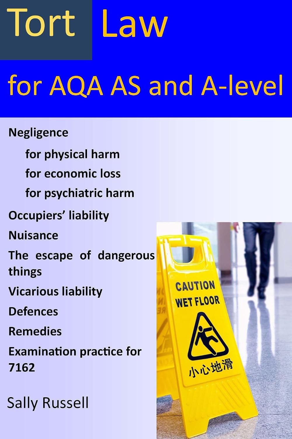 Tort Law for AQA AS and A-Level: plus an introduction to the nature of law and links to the non-substantive law (the English legal system and the nature of law) (English Edition) baixar livro de graça