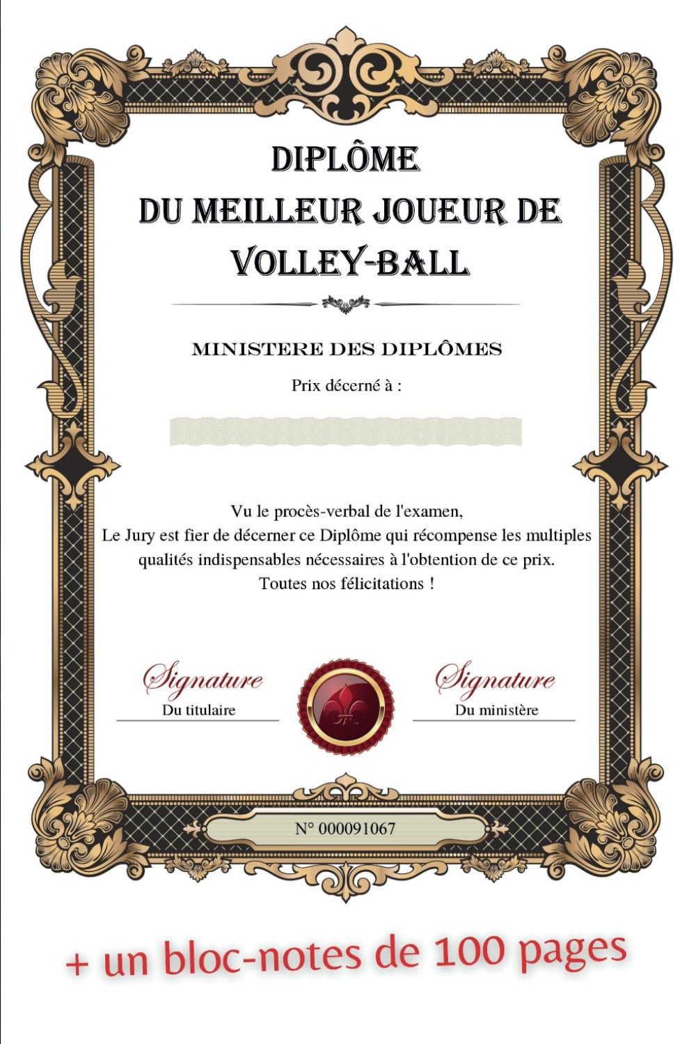 Diplôme du Meilleur Joueur de Volley-ball: Idée cadeau (French Edition) baixar o livro de graça