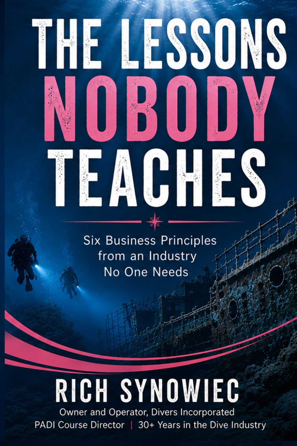 The Lessons Nobody Teaches: Six Business Principles From an Industry No One Needs baixar o livro de graça