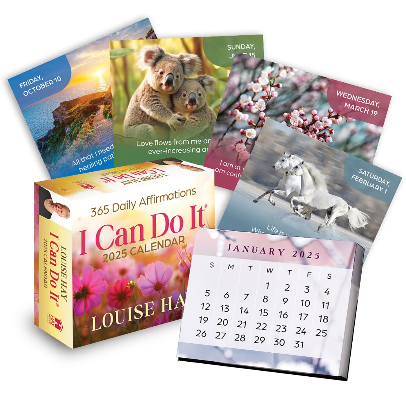 capítulo por capítulo baixar I Can Do It® 2025 Calendar: 365 Daily Affirmations