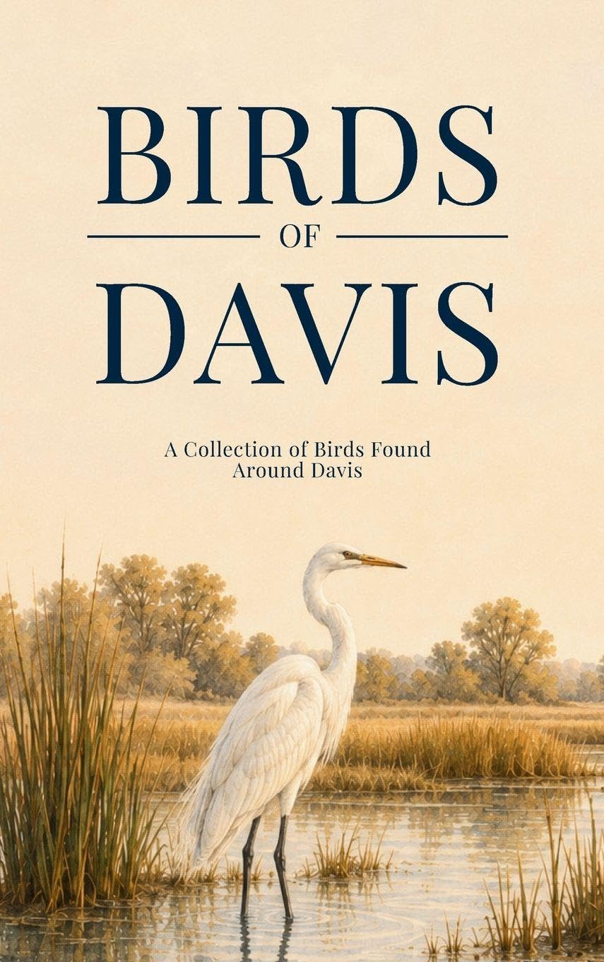 Birds of Davis: A Collection of Birds Found Around Davis baixar livro de graça