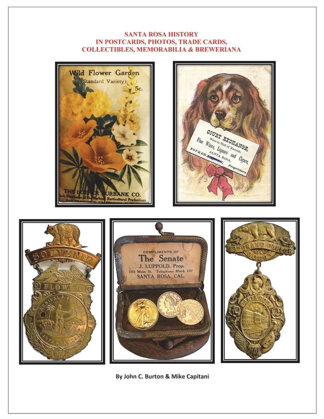 Santa Rosa History in Postcards, Photos, Trade Cards, Collectibles, Memorabilia & Breweriana baixar livro de graça