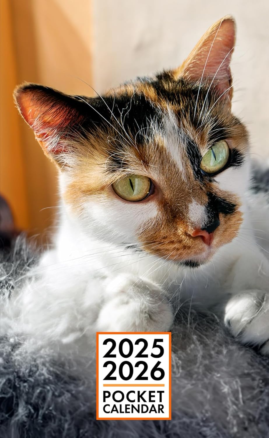 Pocket Calendar 2025-2026 for Purse - Cora Cat | 2 Year Pocket Planner January 2025 - December 2026 | Small Pocket Size 4 x 6.5 | Sketches of Cats in the Middle baixar o livro de graça