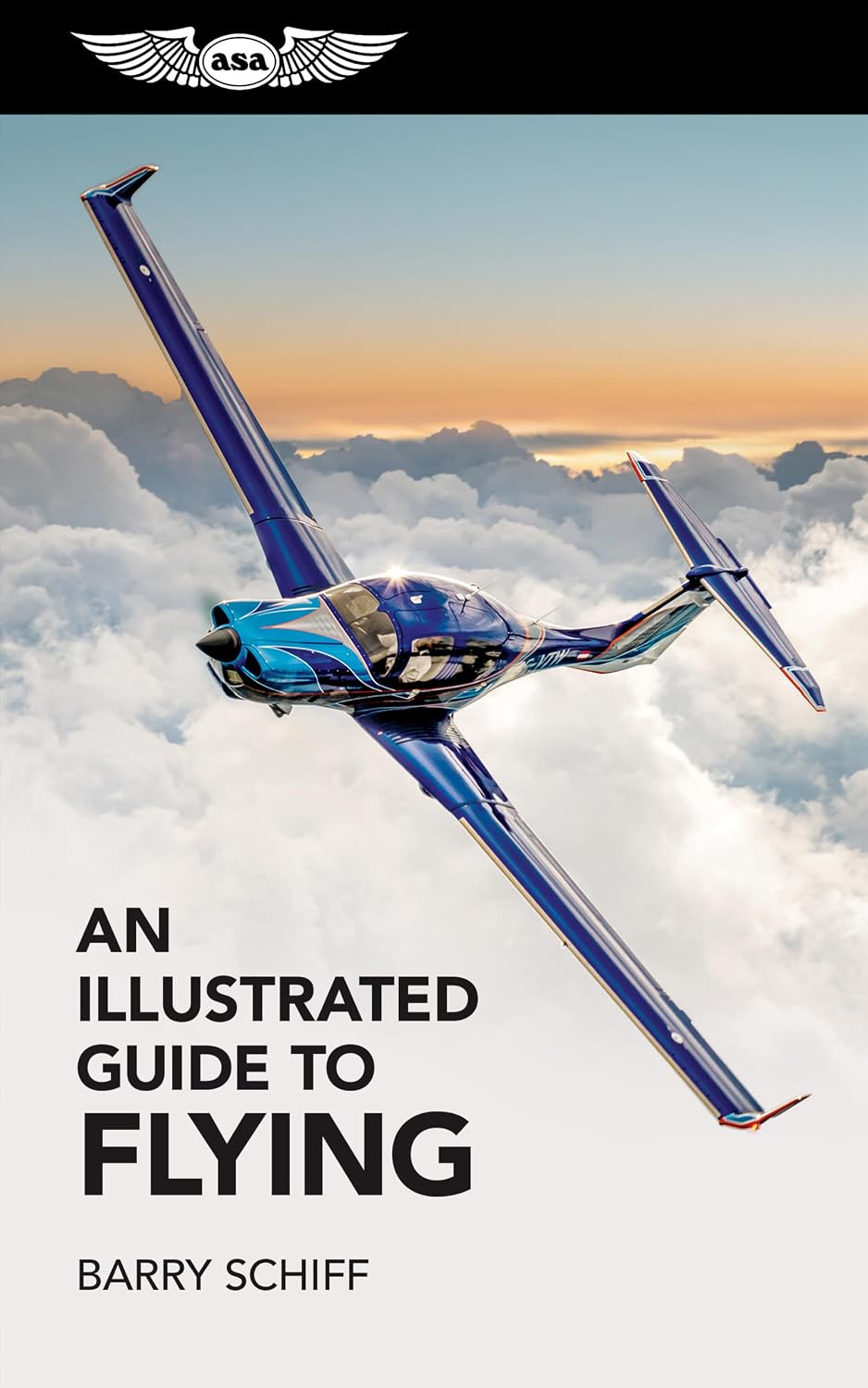 ler totalmente An Illustrated Guide to Flying