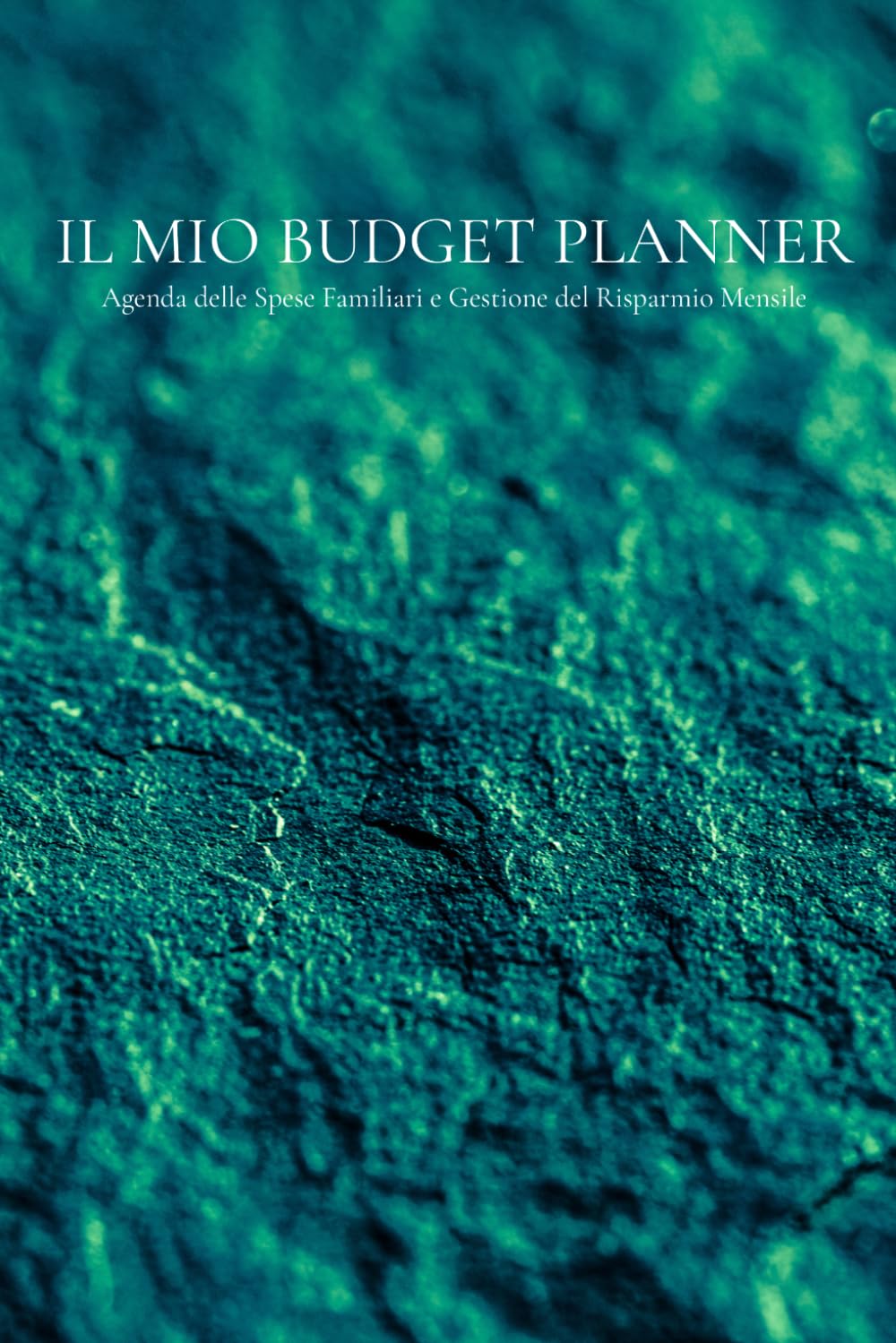 Il Mio Budget Planner: Agenda delle Spese Familiari e Gestione del Risparmio Mensile (Italian Edition) baixar livro de graça