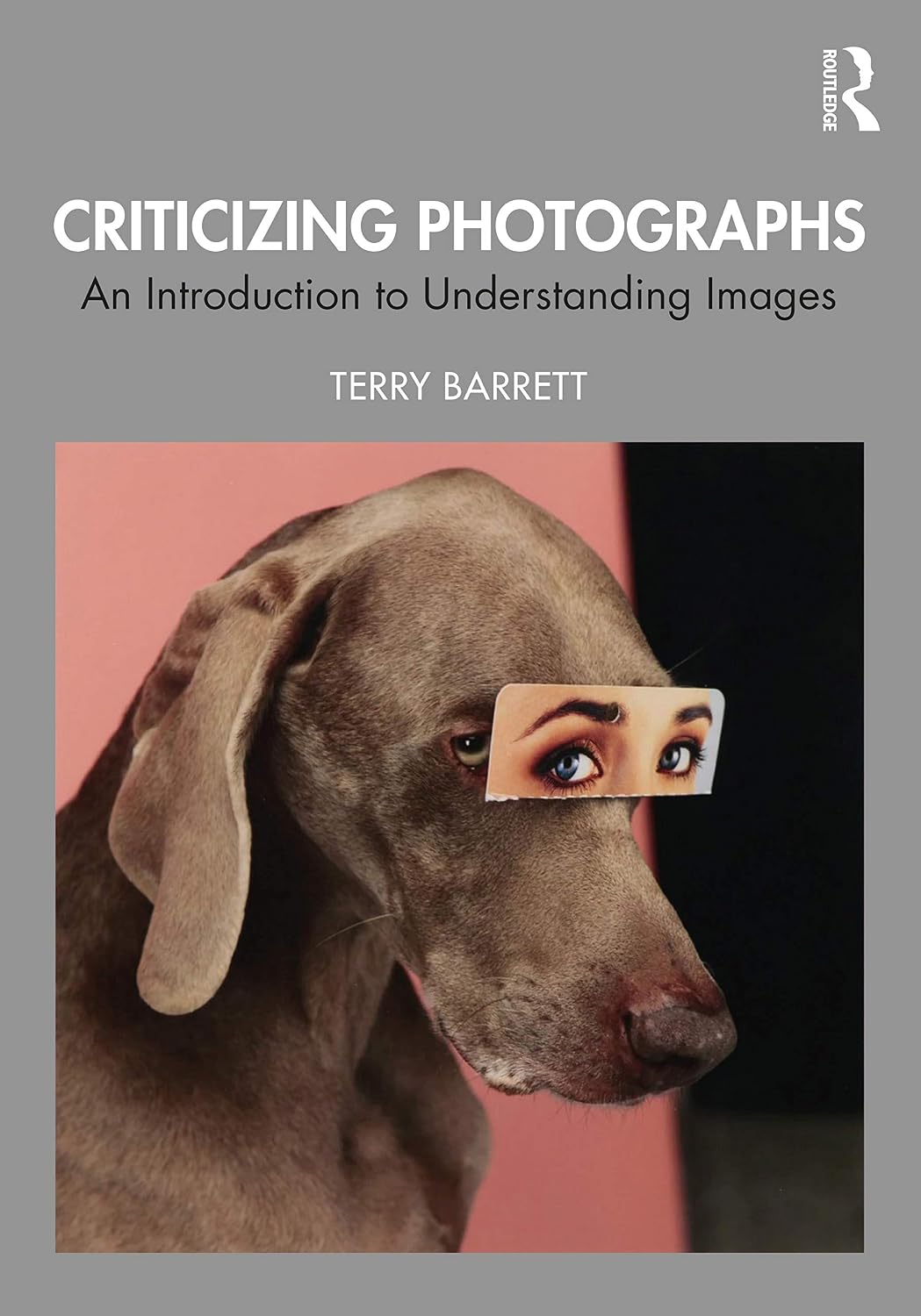 ler totalmente Criticizing Photographs: An Introduction to Understanding Images