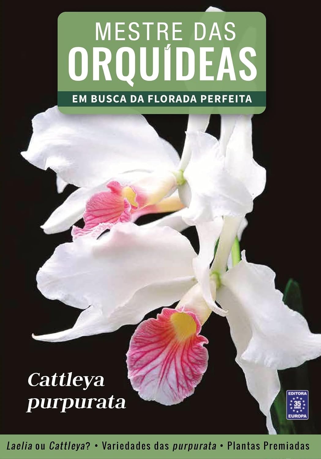 Mestre das Orquídeas - Volume 6: Cattleya Purpurata baixar o livro de graça