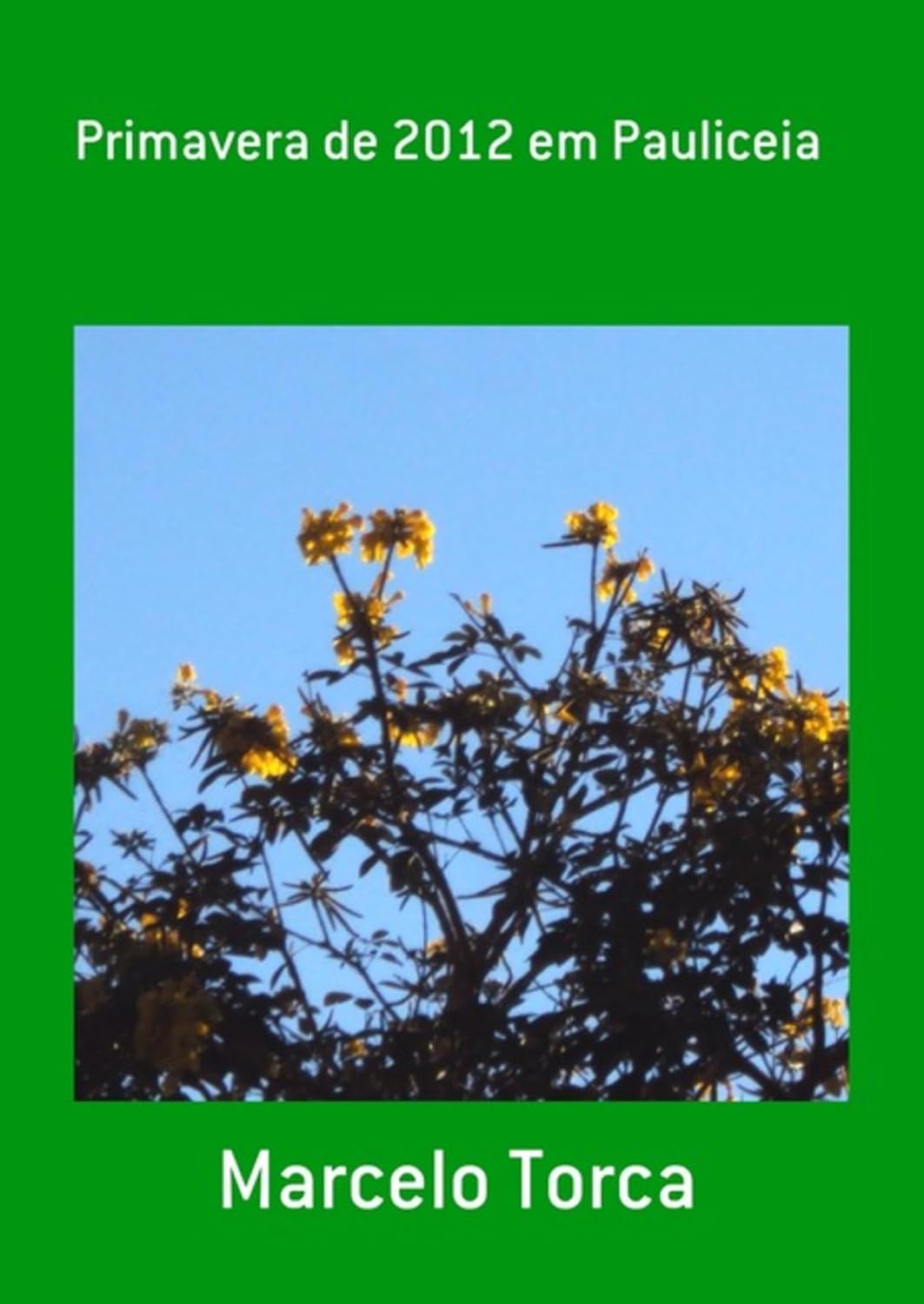 capítulo por capítulo baixar Primavera De 2012 Em Pauliceia