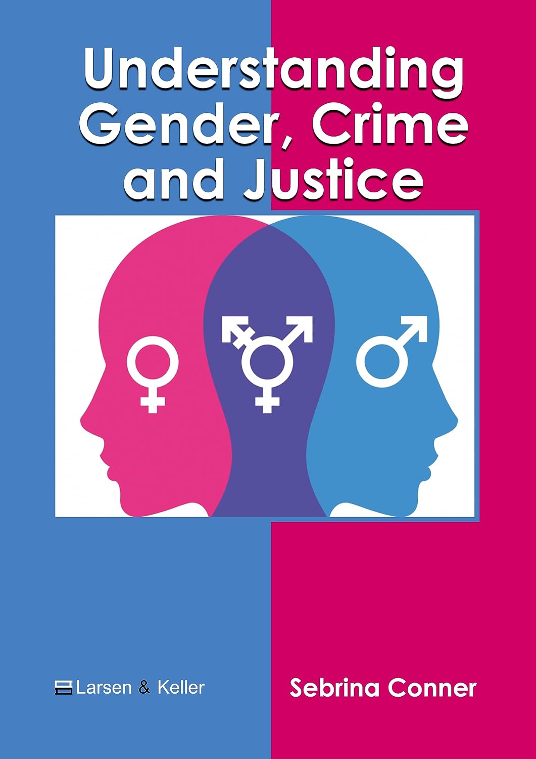 capítulo por capítulo baixar Understanding Gender, Crime and Justice