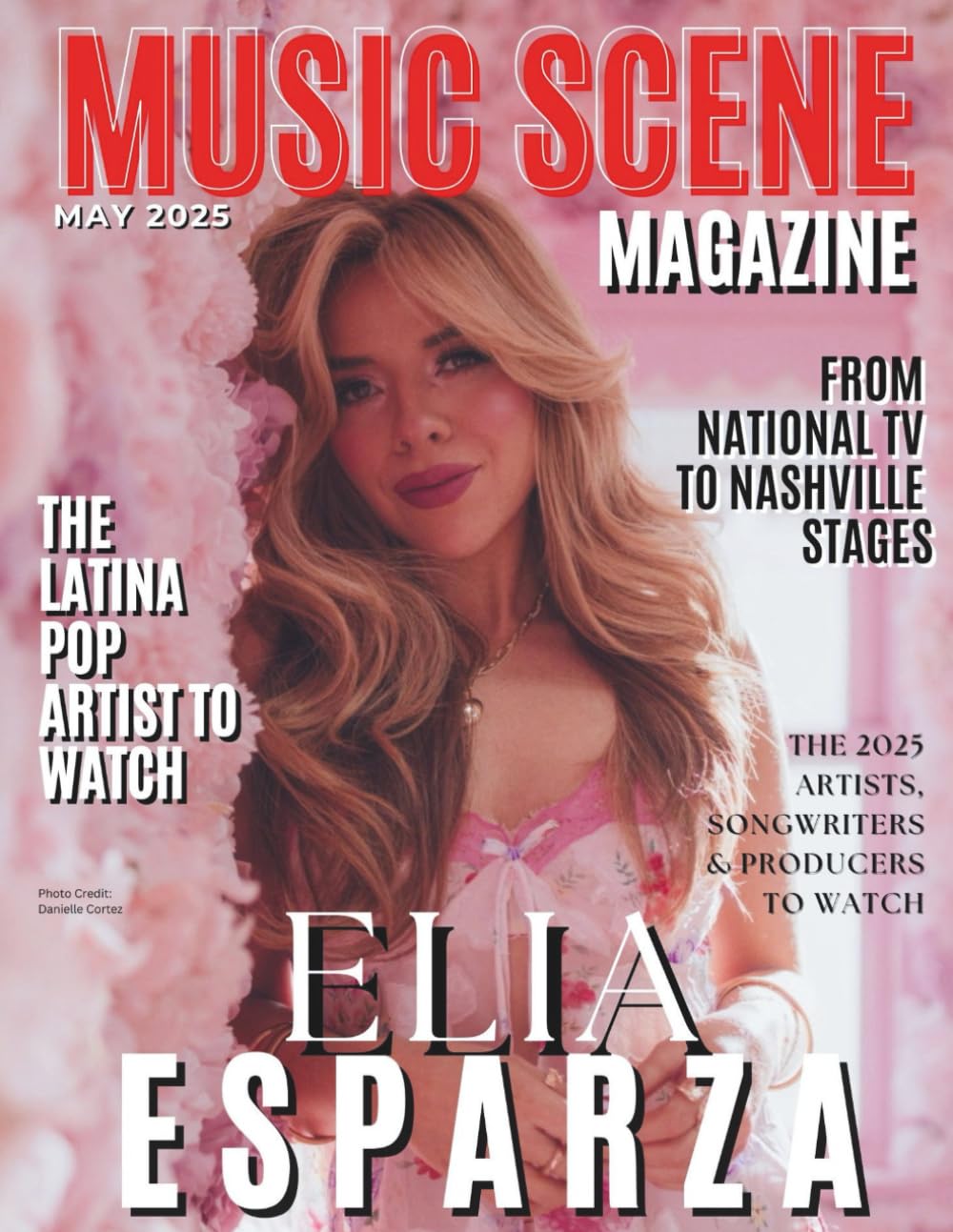 Nashville's Music Scene Magazine