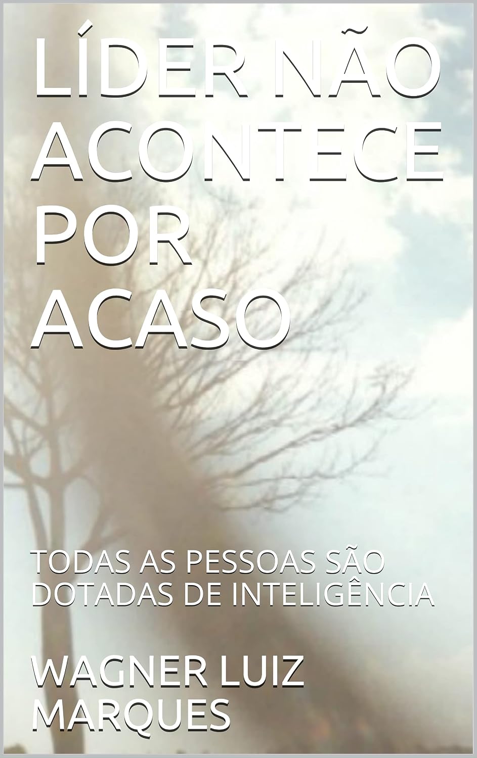 LÍDER NÃO ACONTECE POR ACASO: TODAS AS PESSOAS SÃO DOTADAS DE INTELIGÊNCIA baixar livro de graça