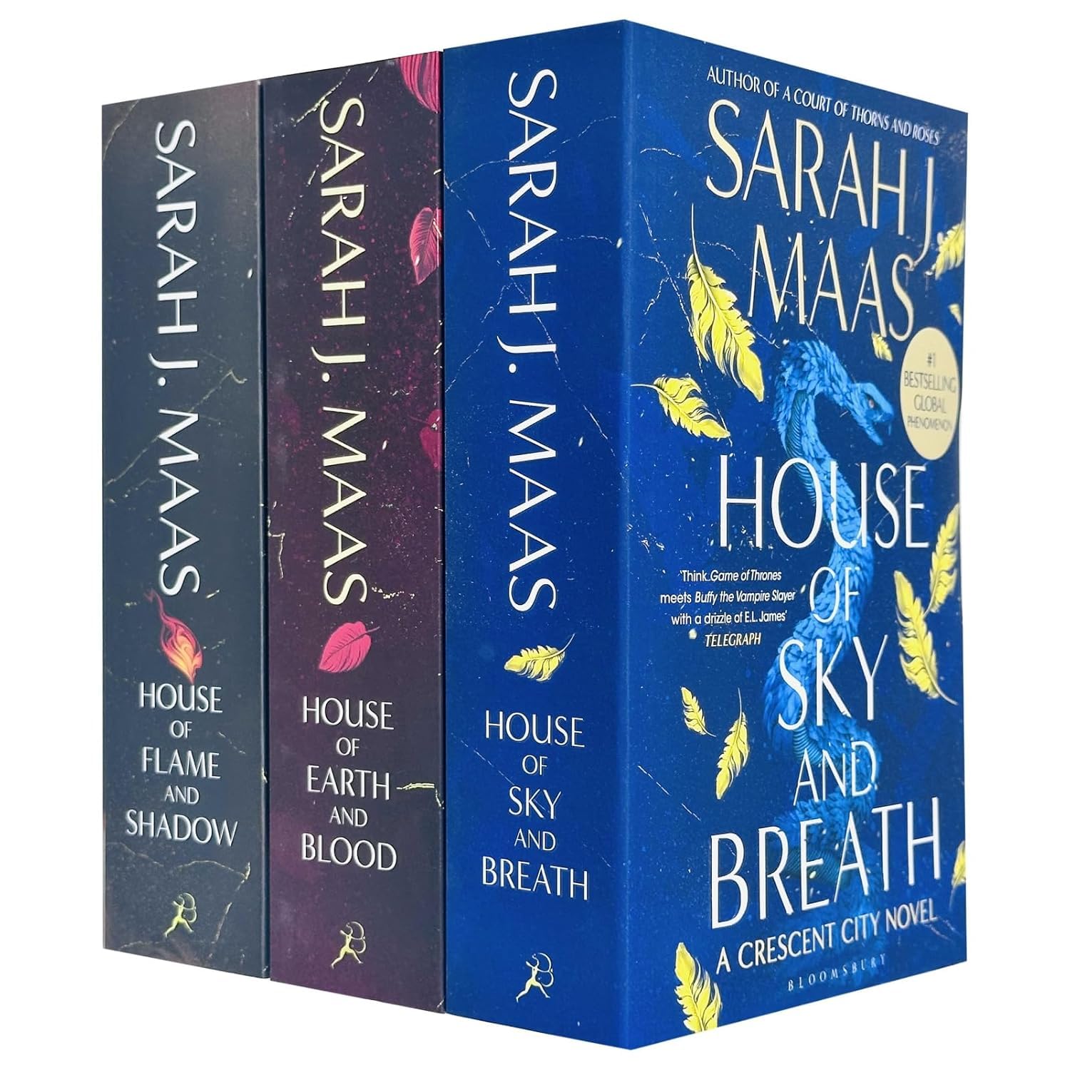 Crescent City Series Collection 3 Books Set By Sarah J. Maas (House of Sky and Breath, House of Earth and Blood & House of Flame and Shadow) baixar o livro de graça