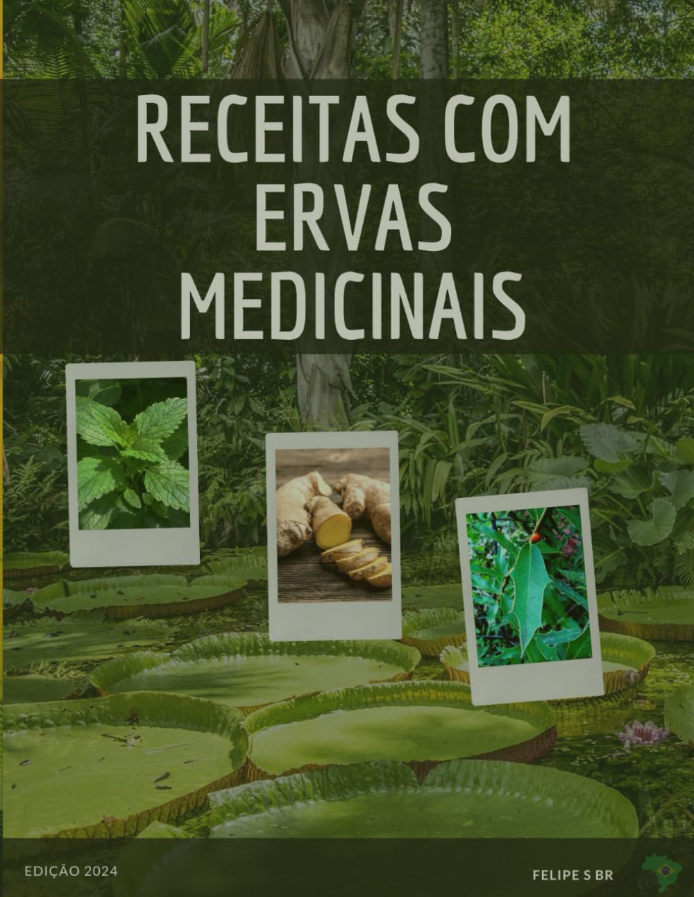 Receitas com Ervas medicinais: Livro com receitas para preparo de chás e medicamentos alternativos com ervas medicinais amazonicas (Portuguese Edition)