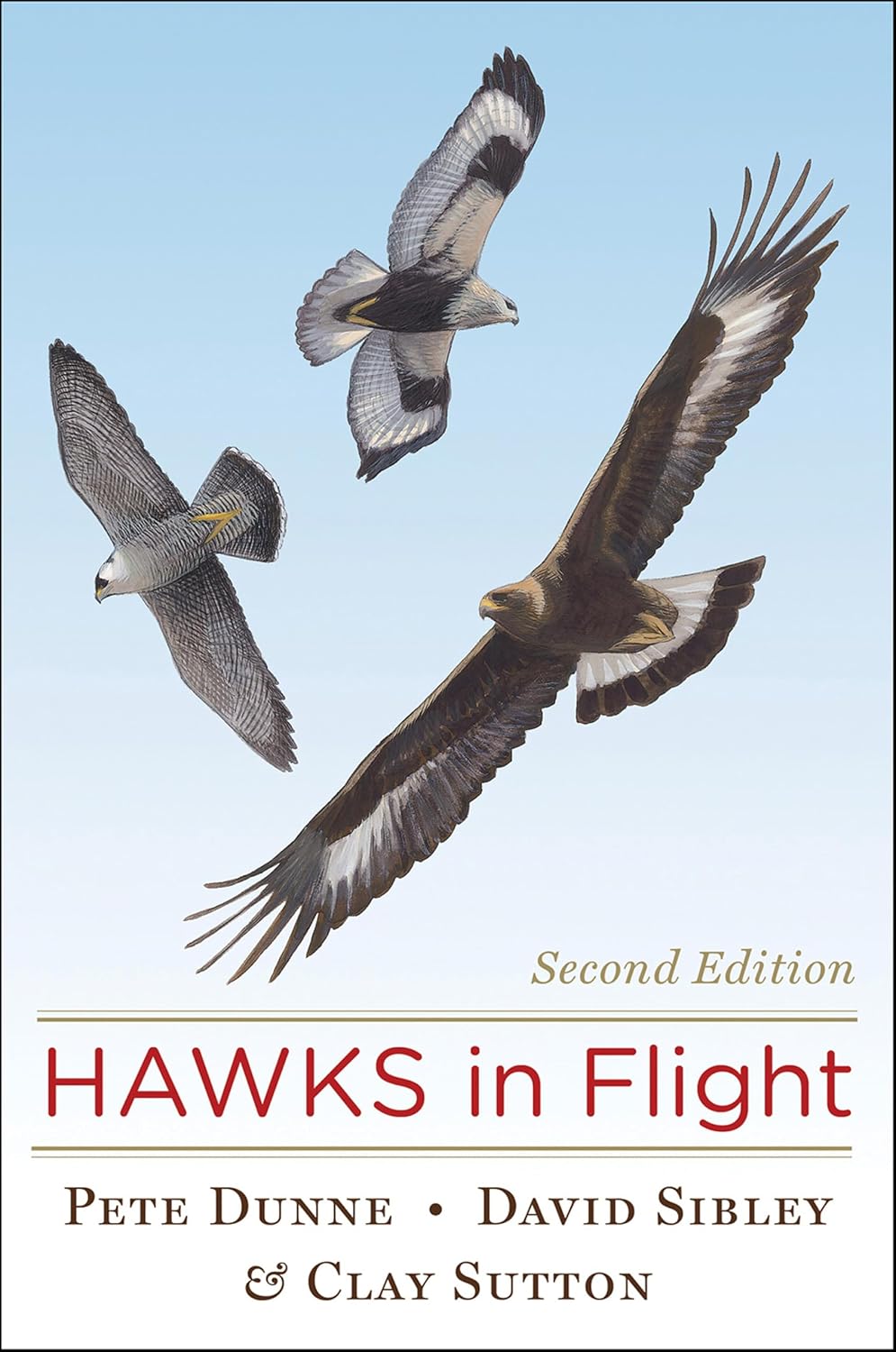 Hawks In Flight (English Edition)