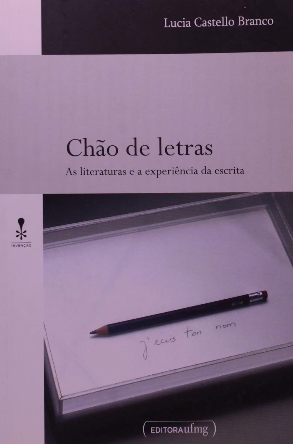 capítulo por capítulo baixar Chão de Letras: as Literaturas e a Experiência da Escrita