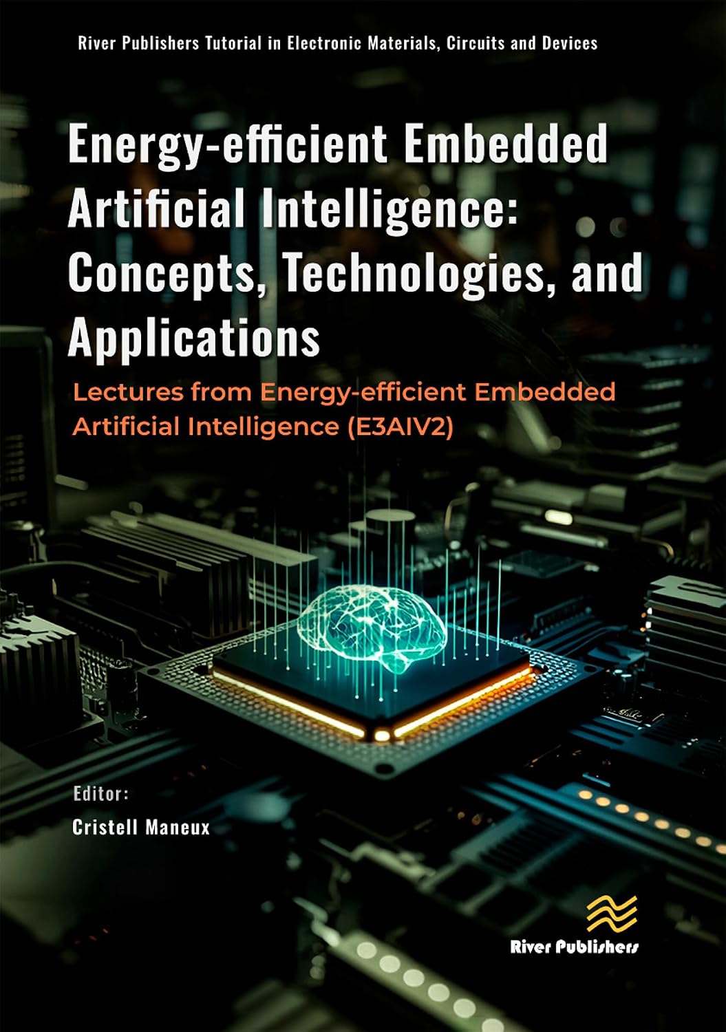 Energy-efficient Embedded Artificial Intelligence: Concepts, Technologies, and Applications: Lectures from Energy-efficient Embedded Artificial Intelligence (E3AIV2) (English Edition) baixar livro de graça