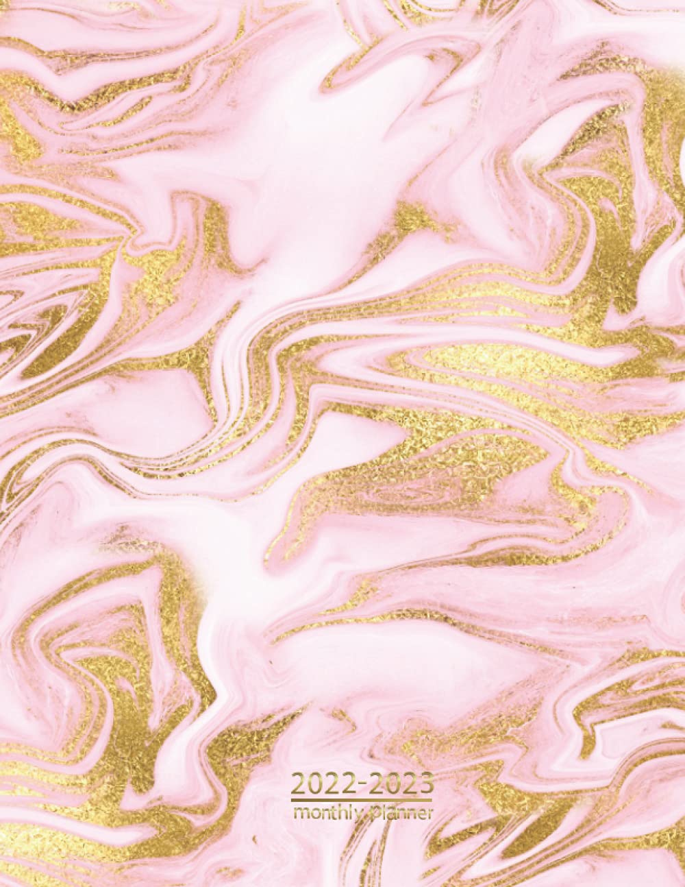 2022-2023 Monthly Planner: 2 Year Planner Calendar Schedule Organizer | January 2022 to December 2023 (24 Months) | 8.5 x 11 in | Rose Gold Marble Cover baixar o livro de graça